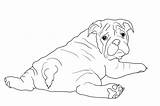 Lineart Bulldogs sketch template