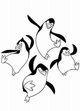 Madagascar Penguins Poppins Pingouins Colouring Coloriages Adelie Divers Pinguinos Drawing Gulli Momjunction Partage Imprime sketch template