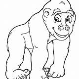 Gorilla Coloring Pages Baby Face Printable Drawing Kids Sheet Color Getdrawings Funny Print Getcolorings Pag sketch template