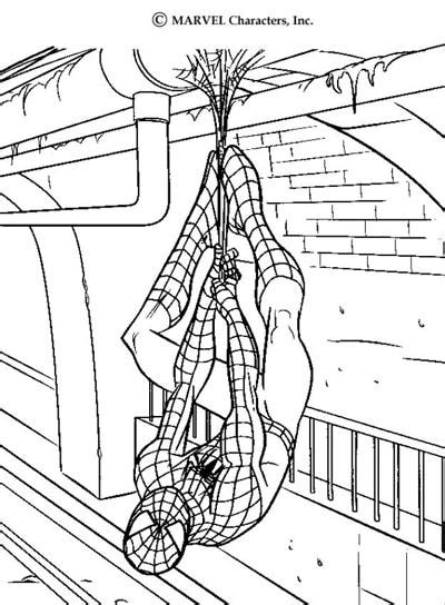 updated  spiderman coloring pages