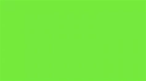 lime green wallpaper  images