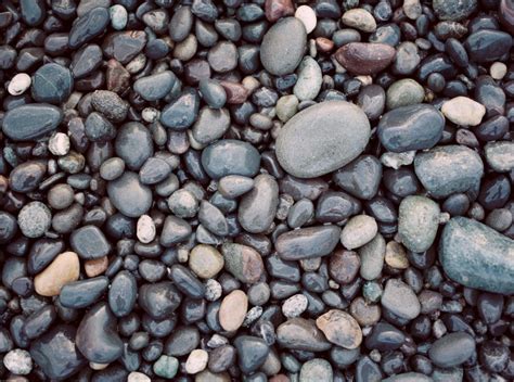 pro tips  buy bulk river rocks pricing  gardentoolsbest