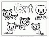 Coloring Pages Cat Cats Dog Dogs Kitty Animal Cute Kids Printable Cool Sheet Color Anbu Colouring Warrior Clipart Kittens Animals sketch template