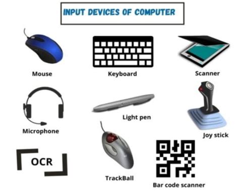 computer education bba input devices