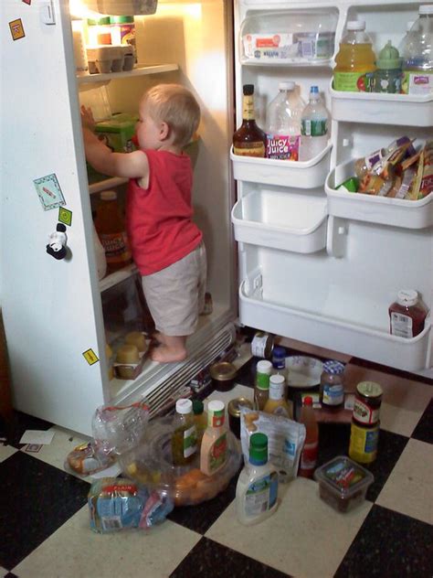 clean  fridge stay  home mum