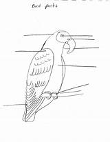 Burung Kerja Lembaran Prasekolah Langkah sketch template