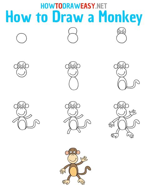 draw  monkey  kids   draw easy