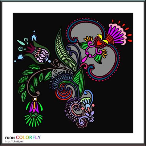 coloring colorfly color fly color design artwork
