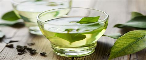 güçlü antioksidan etkisiyle “yeşil çay” gerçek diyetisyenler sitesi