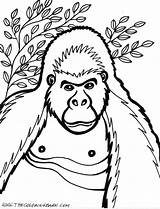 Coloring Pages Gorilla Baby Kids Cartoon Printable Cliparts Animal Cute Snowflake Color Draw Gorila Books Clipart Library Getcolorings Popular Comments sketch template