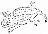 Lizard Coloring Horned Pages Drawing Thorny Devil Outline Printable Draw Cool2bkids Kids Toad Easy Drawings Designlooter Paintingvalley Imagenes Choose Board sketch template