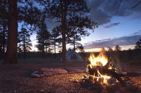 camping camping photo  fanpop