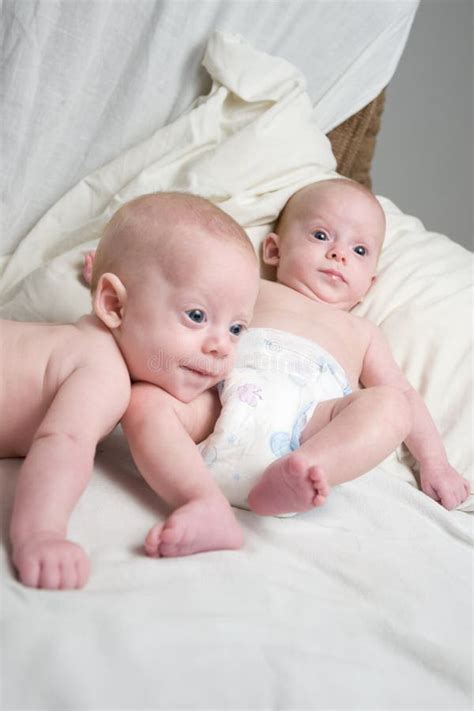 newborn twins royalty  stock photo image
