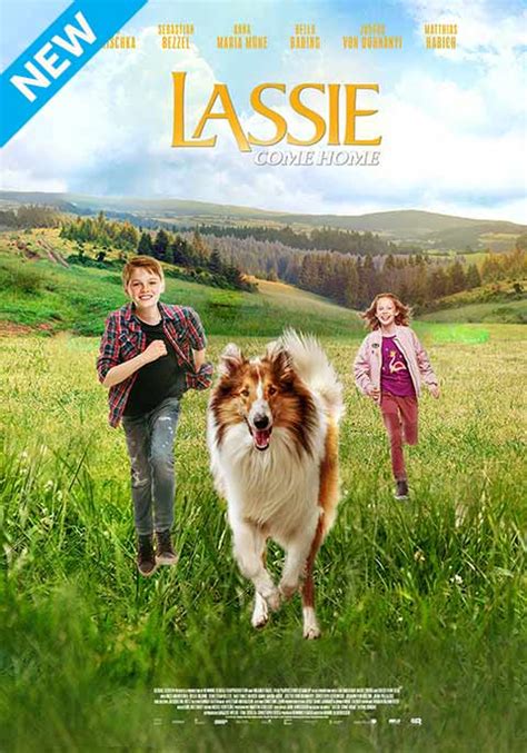 lassie come home now showing book tickets vox cinemas uae
