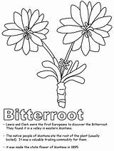 Bitterroot Coloring Montana Pages 2160 Subtitles Stream Online Popular Kidzone Ws Geography Usa sketch template