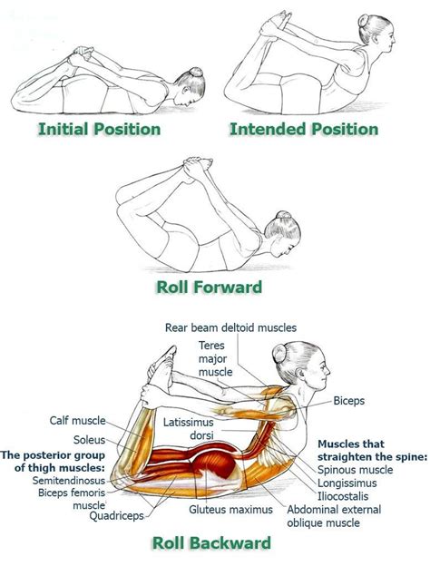 the 25 best posture correction exercises ideas on pinterest posture