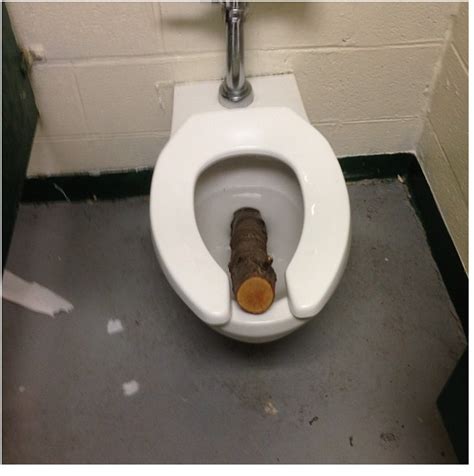 laid  huge log   schools bathroom rfunny