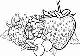 Colorare Frutti Bosco Berries Prato Kolorowanka Druku Riscos Owoce Yayimages Kolorowanki Truskawki Winogrono Parati Pixers Frutas Vegetables Peint Adesivo Papier sketch template