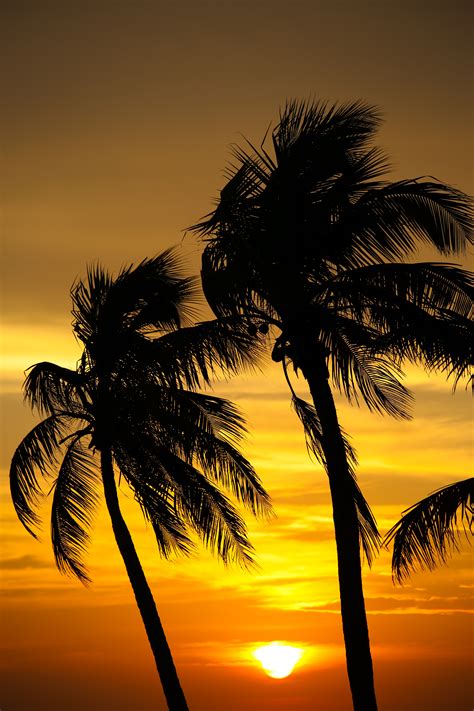 File Sunset On Smathers Beach Key West Flickr Joe