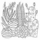 Cactus Printable Colorare Zentangle Coloring4free Lineare Coloritura Sveglio Vettore Bianco Kawaii Immag sketch template