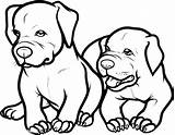 Coloring Pages Pitbull Dog Puppy Baby Cute Two Box Drawing Jack Puppies Adorable Face Printable Color Getcolorings Bull Getdrawings Staffordshire sketch template