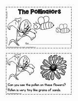 Pollinator Pollinators Pollination Worksheetplace sketch template