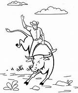 Bull Coloring Riding Man Pages Cartoon Funny sketch template