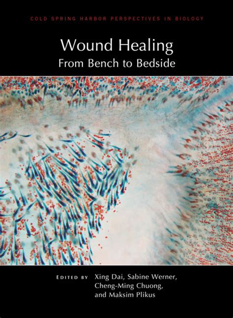 wound healing  bench  bedside
