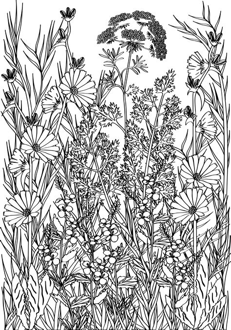 adult coloring book pages flower coloring pages printable coloring