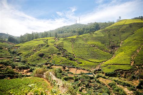 nuwara eliya sri lanka reisen informationsportal