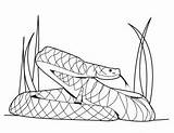 Culebra Serpiente Quieras Imprimiendo Obra Ayudar Todas sketch template