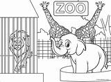 Cool2bkids Coloringbay Zoologico Divers sketch template