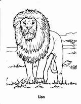 Lion Coloring Pages Animal Animals Judah Sheets Kids Zoo Realistic Lions Book Drawing Sheet Books Cat Giraffe Template Wild Getdrawings sketch template
