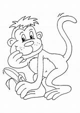 Monkey Coloring Pages Banana Monkeys Printable Trapeze Parentune Animals Categories Coloringonly sketch template
