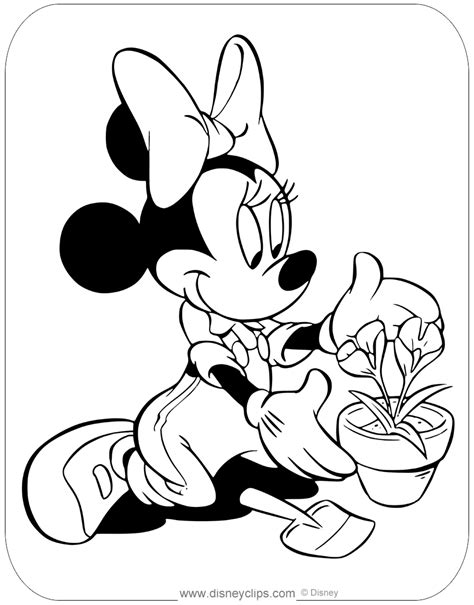 coloring pages minnie mouse minnie mouse   garden disney