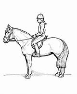 Pferde Saddle Pferd Getdrawings Reiter sketch template