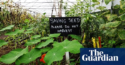 Why We Need Open Pollinated Seed Alys Fowler Life And Style The