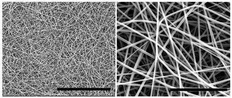 fibers  full text high strength  high modulus electrospun nanofibers