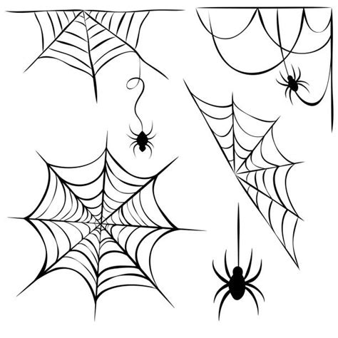Best Spider Web Tattoo Designs Pictures Illustrations Royalty Free