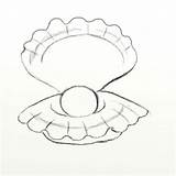 Clam Draw Drawing Giant Pearl Drawings Shell Clams Feltmagnet Drawn Opened Step Learn Getdrawings sketch template