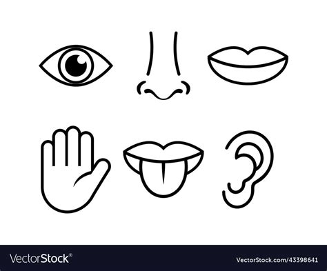 body parts human sense eye nose ear mouth hand set