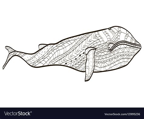 whale coloring  adults royalty  vector image