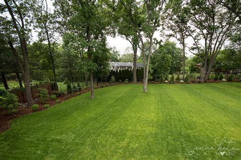 large backyard landscaping ideas pictures montazne kuce za porodice