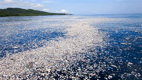 stopplasticpollution warum fischen wir das plastik nicht aus dem meer