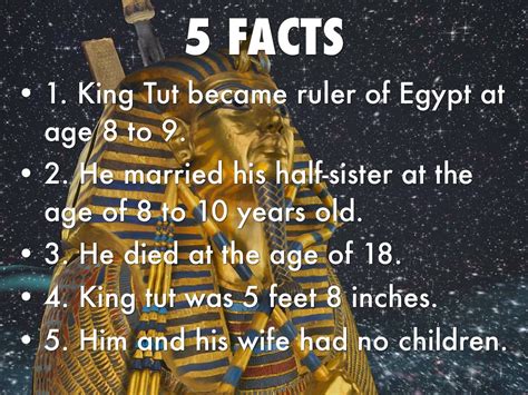 king tutankhamun facts king tutankhamun tomb king tutankhamun death
