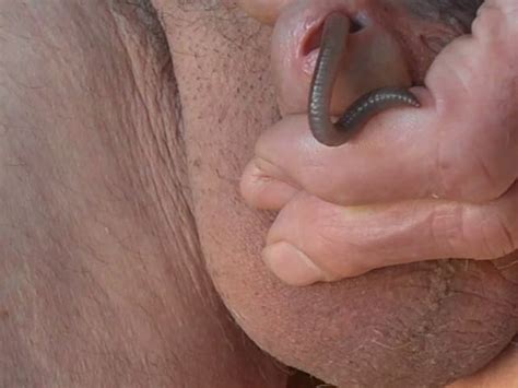 large worm in cock motherless