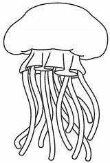 Colorear Medusas Medusa Compartan Pretende Motivo Disfrute sketch template