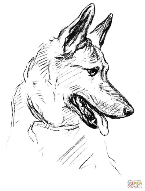german shepherd dog portrait coloring page  printable coloring pages