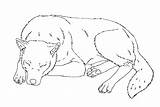 Sleeping Dog Drawing Coloring Drawings Paintingvalley Animalplace Pages sketch template