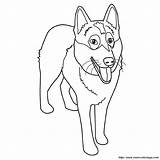 Husky Browser Ok Internet Change Case Will sketch template